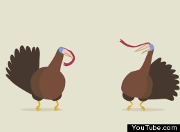 WATCH: Turkeys Performing Dubstep? Sure, Why Not...