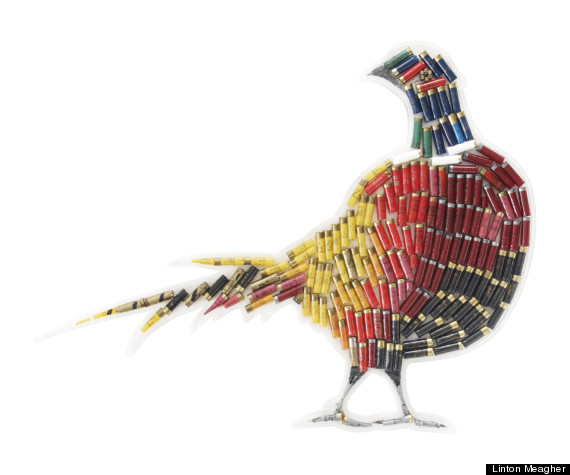 pheasant