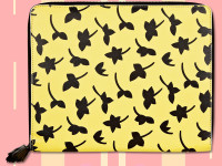 Ipadcase