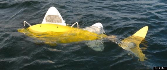 Robot Fish