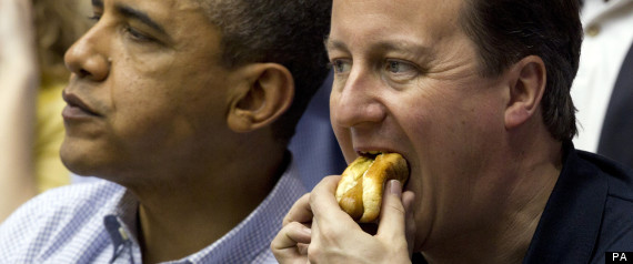 Cameron Hot Dog