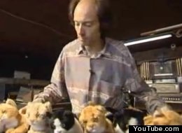 WATCH: Now That's What I Call Miaowsic! Man Plays Cat Organ 