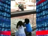 Kids looking at chimp