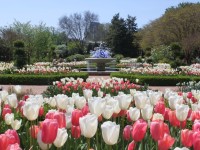 Botanical Gardens