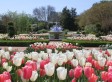 Botanical Gardens