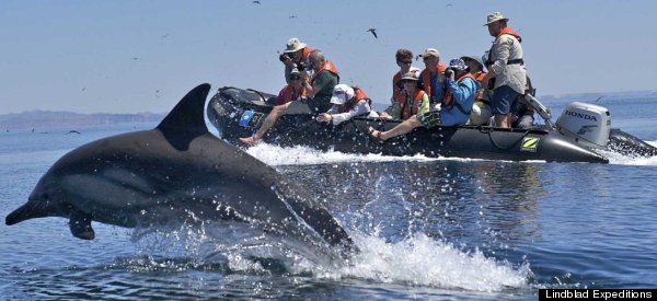 PHOTOS: A Wild Trip To The Sea Of Cortez