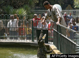 Cairo Zoo