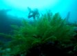 PHOTOS: Learn To Scuba Dive In Bali