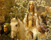 Queen Guinevre