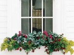 Flower Box