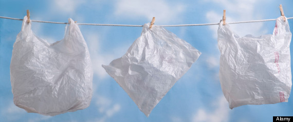 Plastic Bag History