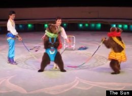 Nk Circus