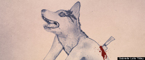 Husky