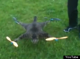 Dead Cat Helicopter