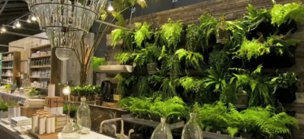 Garden Wall Ideas: When Plants Become Interior Decor (