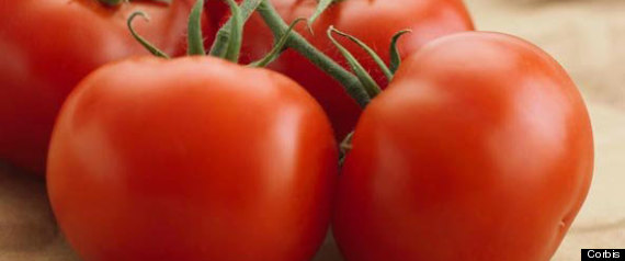 Frutas Verduras Nevera