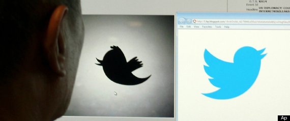 Twitter Pajaro