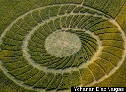 Misteriosos agrogramas con forma de eclipse