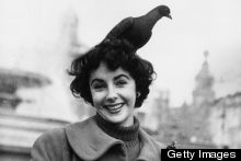 The Greatest Photo Of A Pigeon Standing On Elizabeth Taylor's Head