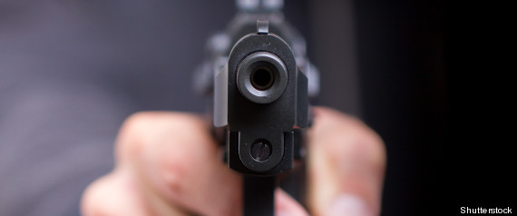 Canada Handgun Ban Oliver Martin