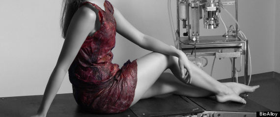Wine Fabric