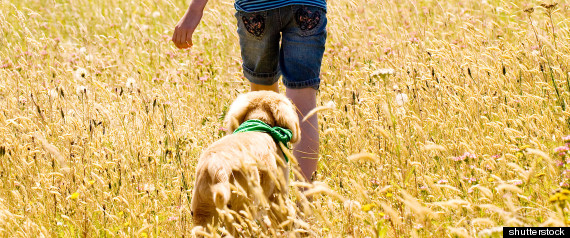 Lyme Disease