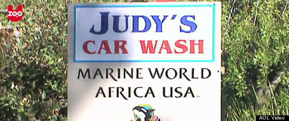 Judyscarwashaolvideo