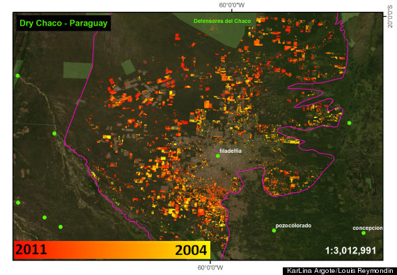 deforestation tracker