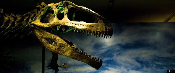 Rom Dinosaur Exhibit