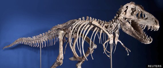 Dino