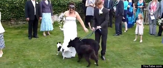 Wedding Fail