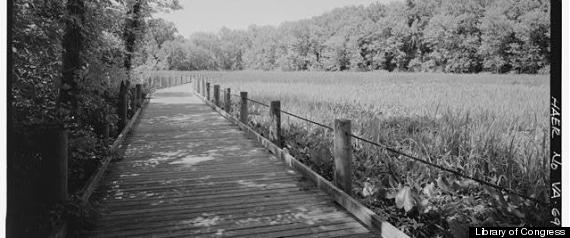 Dyke Marsh