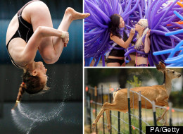 Pictures Of The Day