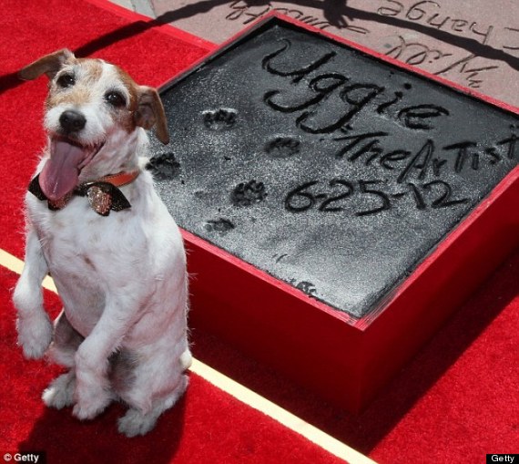 uggie