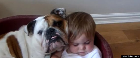 Dog Sleeps With Baby