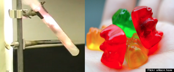 Gummybear