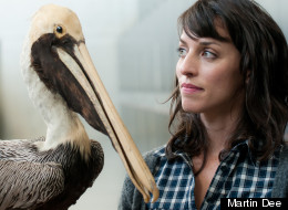 Obsessed: Taxidermy