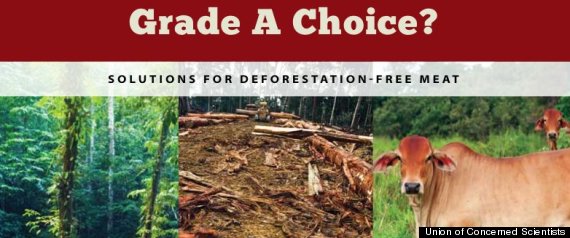 Meat Deforestation