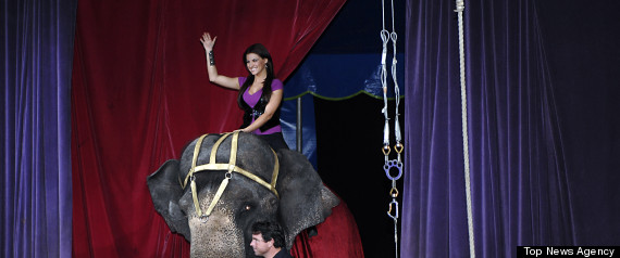 Maite Circo