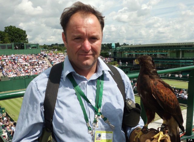 wimbledon hawk