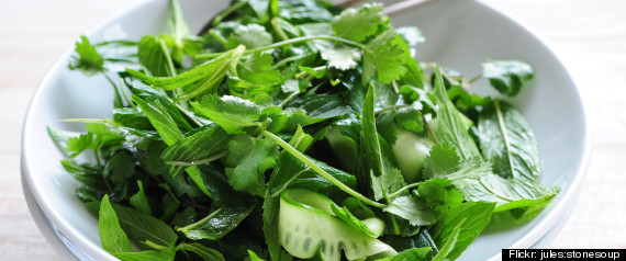 Salad Greens