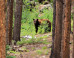 colorado-wildfires