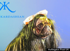 kanine kardashian