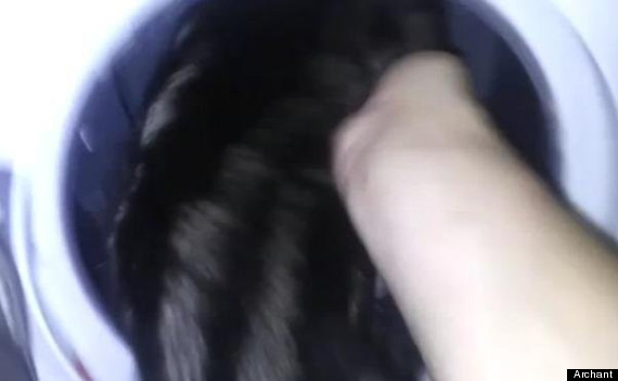 kitten in dryer