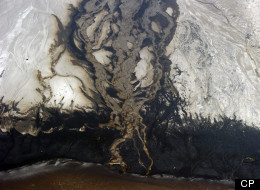 Conclusive Proof That Oilsands Pollute Lakes: Researchers