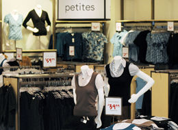 ann taylor store ann taylor store