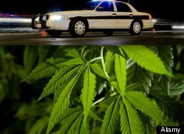 Medical Marijuana Legalization