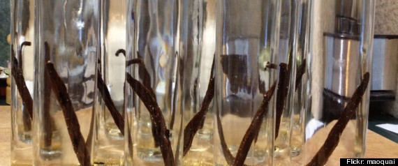 Vanilla Extract