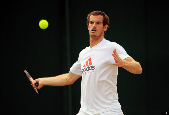 andy murray