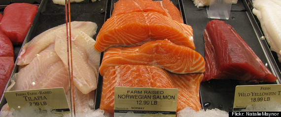Farmed Fish World Demand